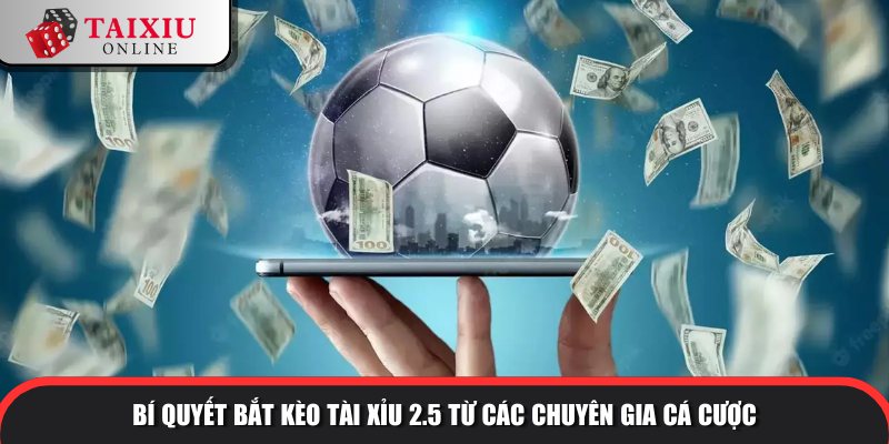 Mẹo bắt kèo hay